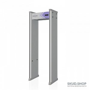 Переносной стационарный металлодетектор: как работает и зачем нужен